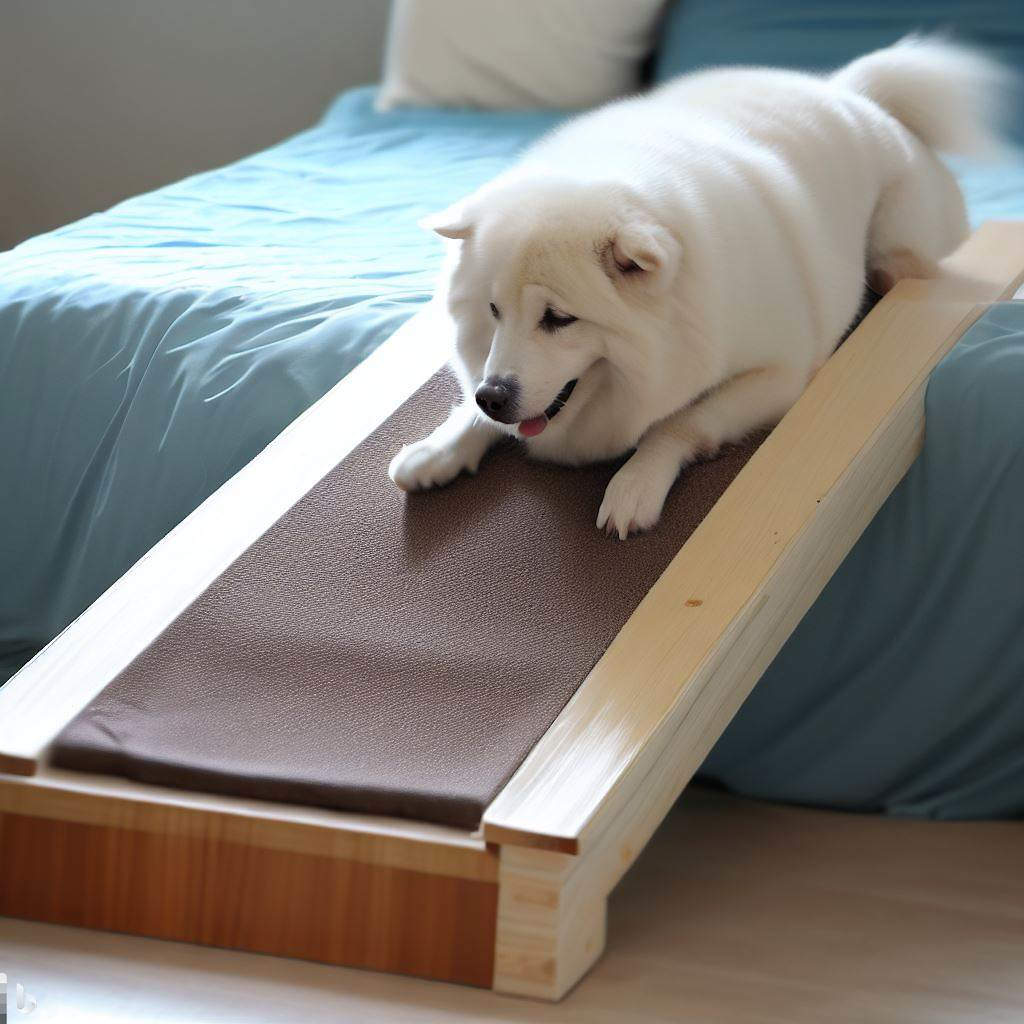 Best dog ramp for bed